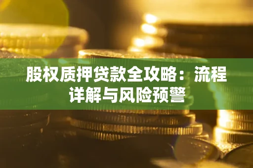 北京股权质押贷款全攻略：流程详解与风险预警