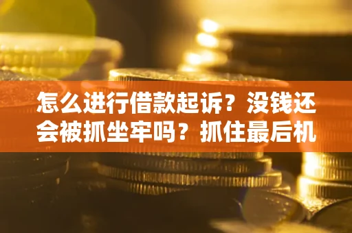北京怎么进行借款起诉？没钱还会被抓坐牢吗？抓住最后机会！