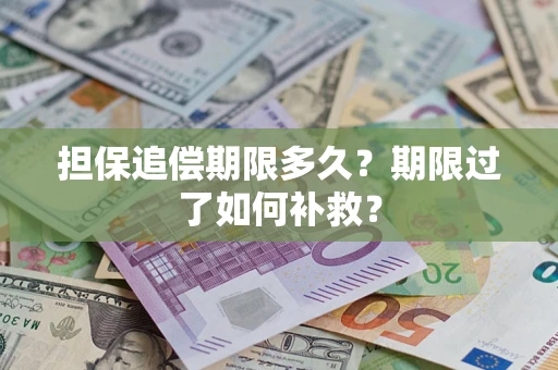 北京担保追偿期限多久？期限过了如何补救？