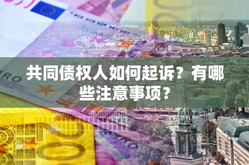 北京共同债权人如何起诉？有哪些注意事项？